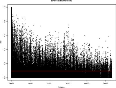 Elucidating the Genetic Architecture of Fiber Quality in Hemp (Cannabis sativa L.) Using a Genome-Wide Association Study